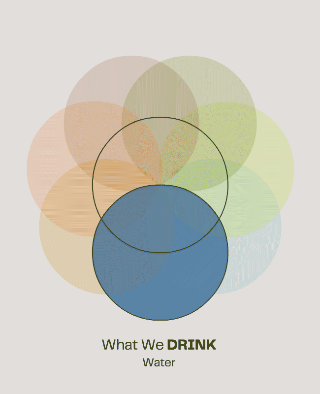 Focused_&_Interconnected_WV-1