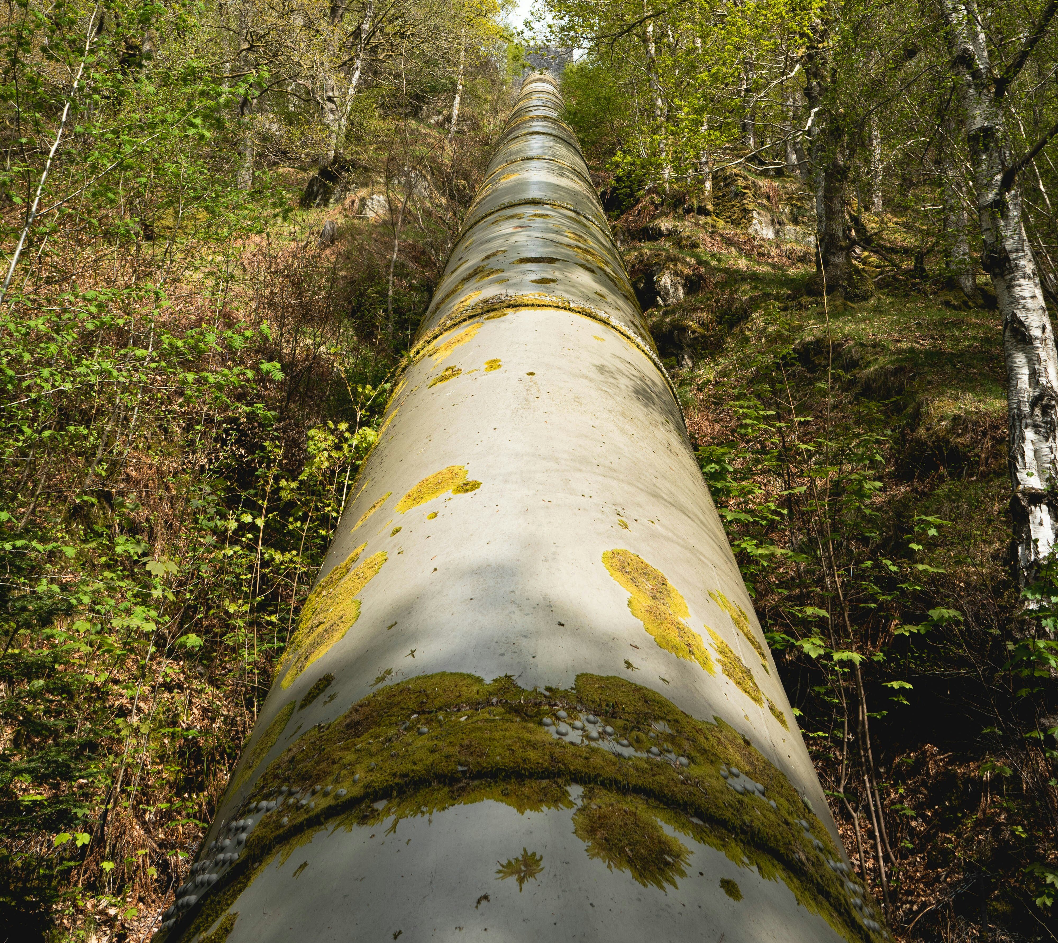 sam-di-risio-jS15bXywmeI-unsplash-(2)